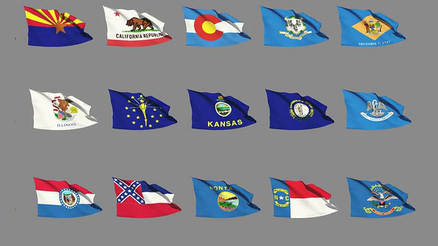 美国50个州的国旗-第四部分的第二部分视频素材