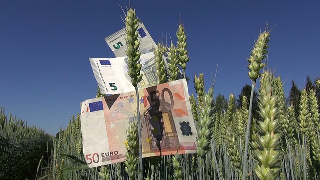 农业工业经营理念与欧元钞票视频下载