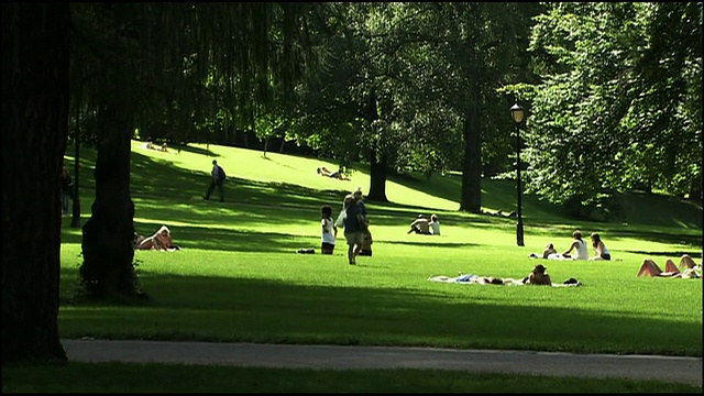 在挪威奥斯陆的一个公园里，朋友们散步经过日光浴者。视频素材