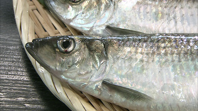 新鲜的鲱鱼躺在柳条篮子里。视频下载