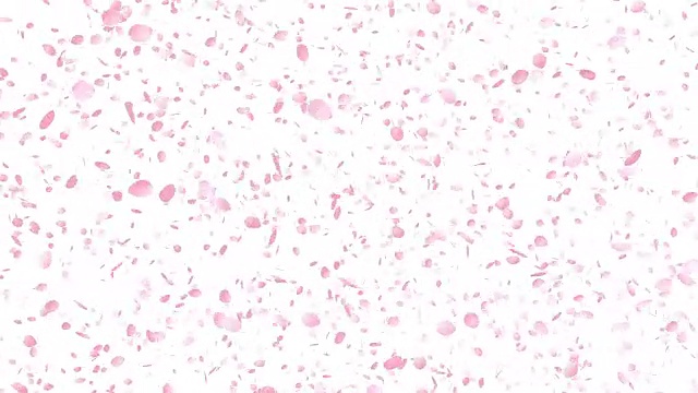 樱花，粉红色的花，无缝环视频下载