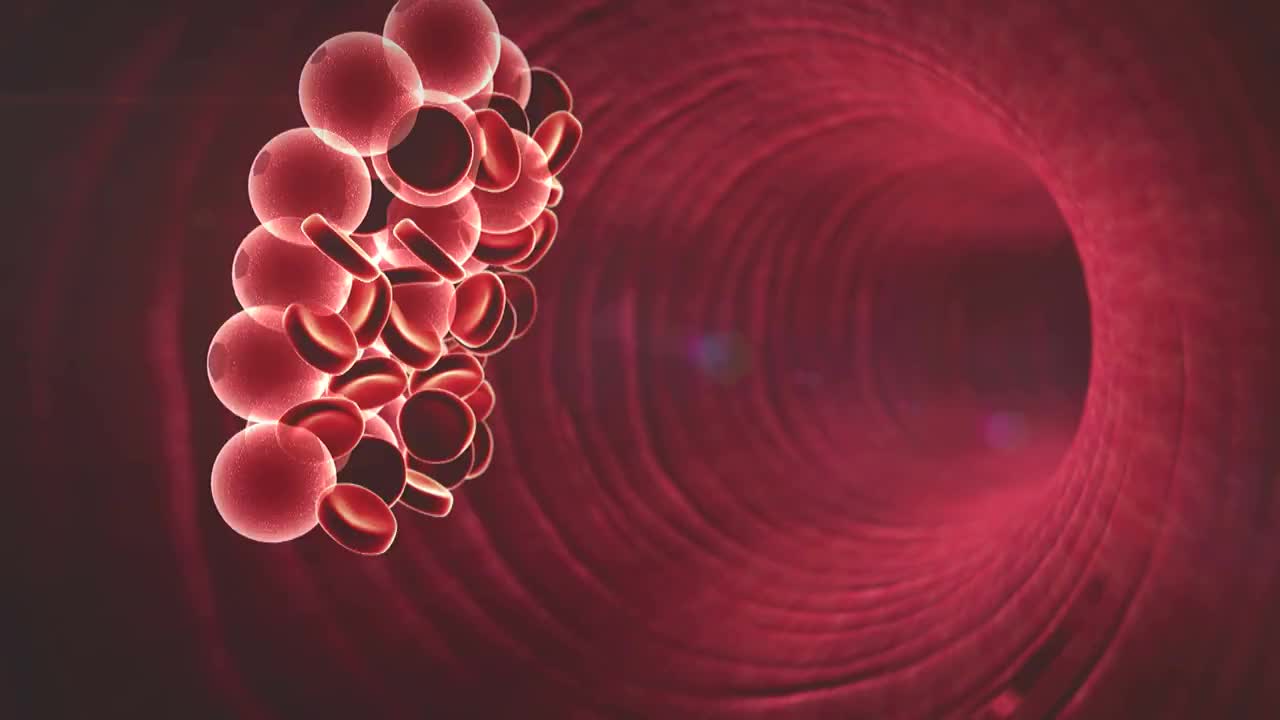 红细胞、胆固醇视频素材