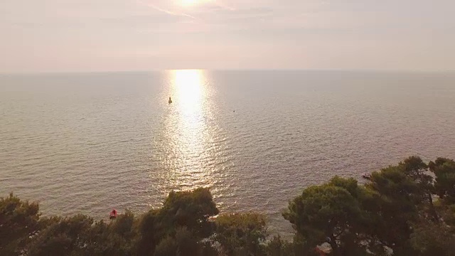航拍:在美丽的夏日日落中，飞过葡萄园走向大海视频素材