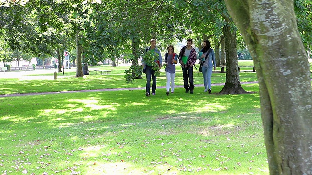 快乐的学生走在草地上视频素材
