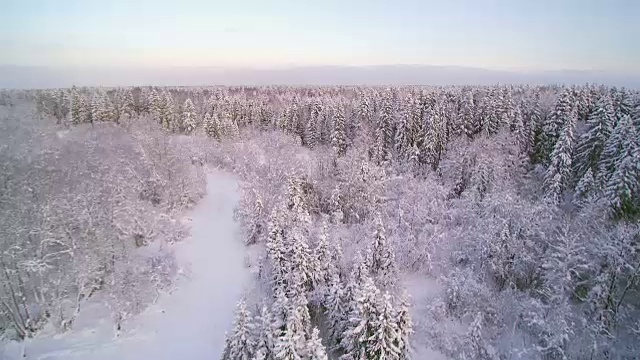 空中拍摄的城市和森林在雪视频素材