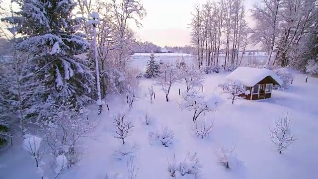 树上的白雪视频素材