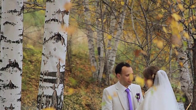 幸福的新婚夫妇在秋天的公园里微笑着散步视频素材