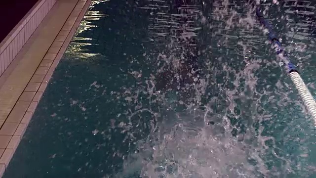 游泳运动员跳水入池的后视图视频素材