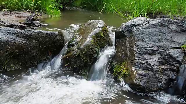 森林河流量视频下载