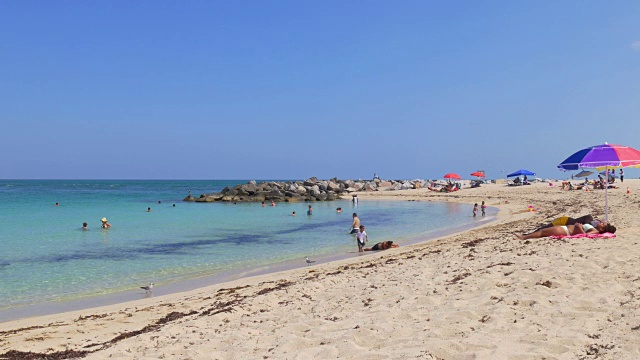 美国夏季日迈阿密海滩游客海洋泻湖4k佛罗里达视频素材