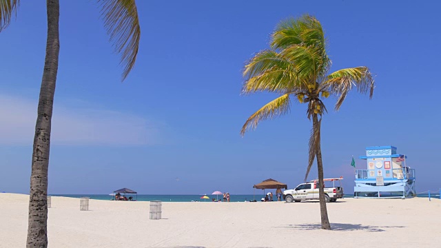 美国夏日迈阿密海滩棕榈树救生员塔4k视频素材
