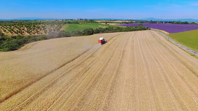 航拍:在阳光明媚的夏天，农民们正在用联合收割机收割小麦视频素材
