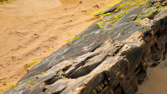 美丽的黑发姑娘在海滩边的岩石上散步视频素材