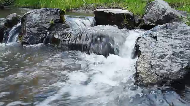 森林河与石头。视频下载
