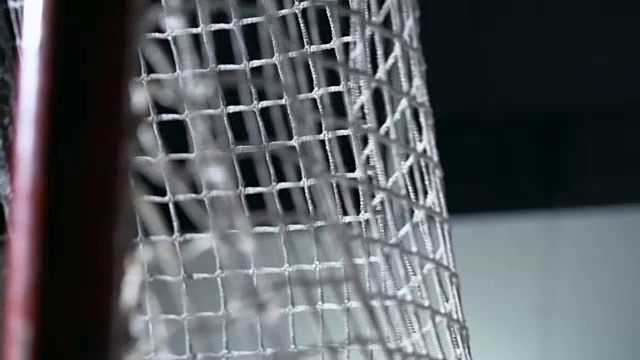 冰上曲棍球目标视频素材