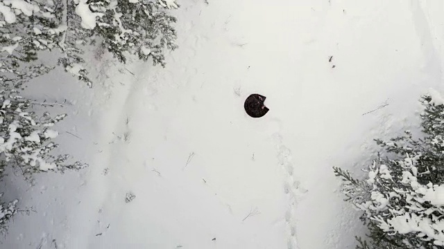 穿皮衣的女孩坐在雪中视频素材