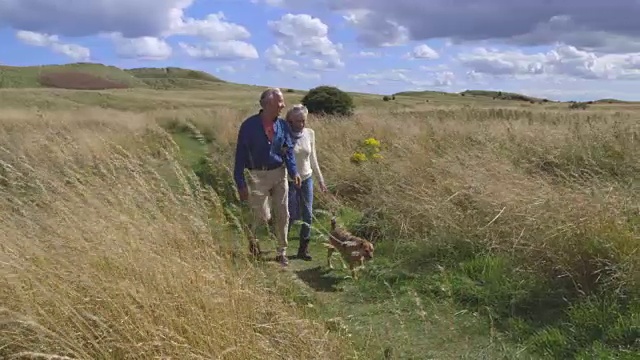 一对老年夫妇在乡间遛狗视频素材