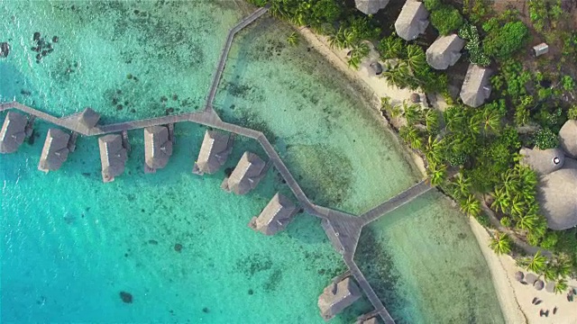 航拍:豪华的水上别墅和海滨别墅面对着蓝绿色的环礁湖海洋，前面是异国情调的白色沙滩和高大的棕榈树，位于法属波利尼西亚异国情调的岛屿上视频素材