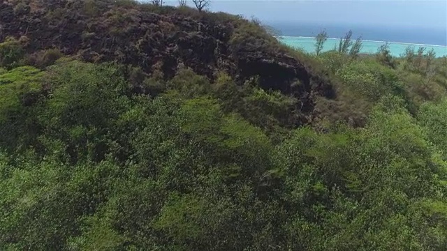 空中:幽静的白色沙滩和郁郁葱葱的异国情调郁郁葱葱的棕榈树是美丽热带岛屿上的天堂视频素材