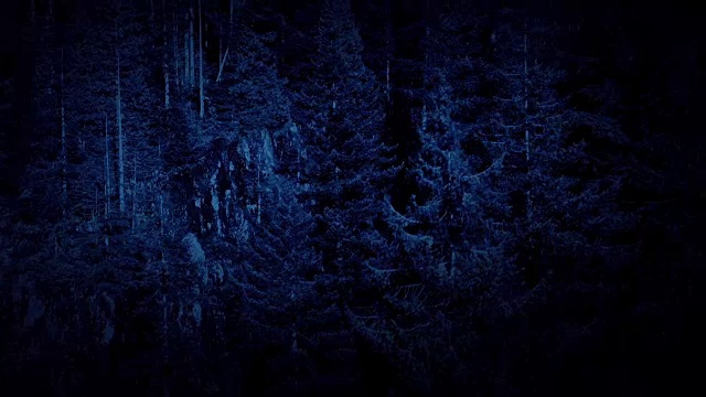 夜间飞过森林中的悬崖视频下载