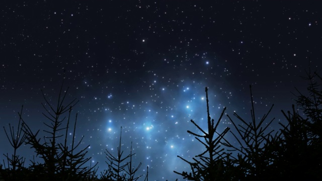 昴宿星在森林上空升起视频素材