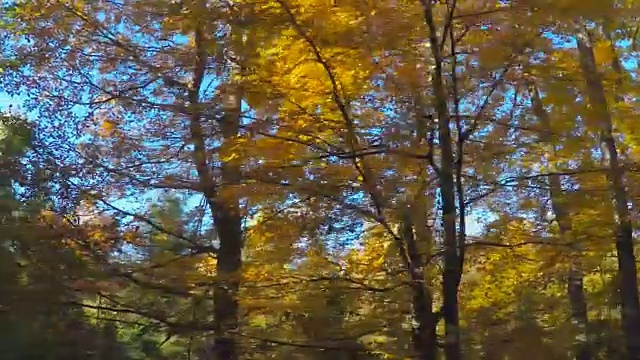 秋天驾驶-美丽的秋天乡村路视频素材