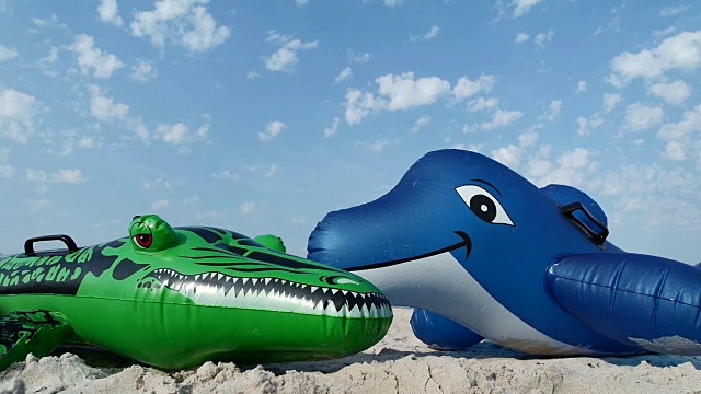海滩上的海豚和鳄鱼视频下载