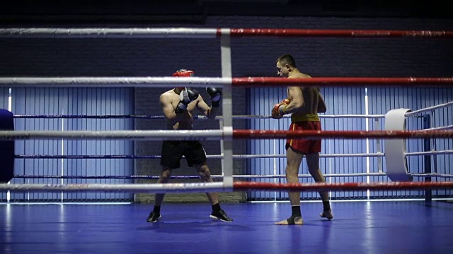 拳击手在拳击台上搏斗视频下载