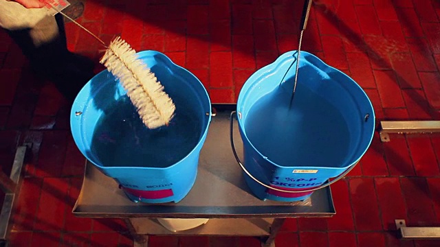 两桶消毒剂工人从水桶里取出清洁刷。清洗设备。乳制品加工厂视频下载