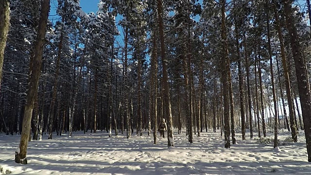 人走在美丽的雪景森林。高质量的高清视频片段视频下载