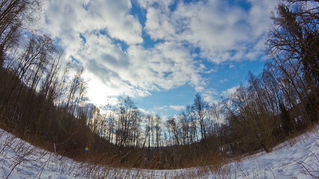 冬季森林,延时视频素材