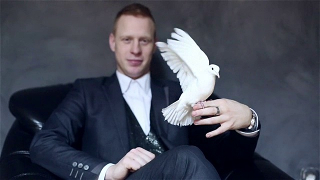 年轻迷人的魔术师在黑色西装与白色鸽子在他的手。视频下载