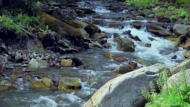 小山河。景观与溪流之间流动的岩石和树木。水在山。春天森林里的河流。国家公园视频素材