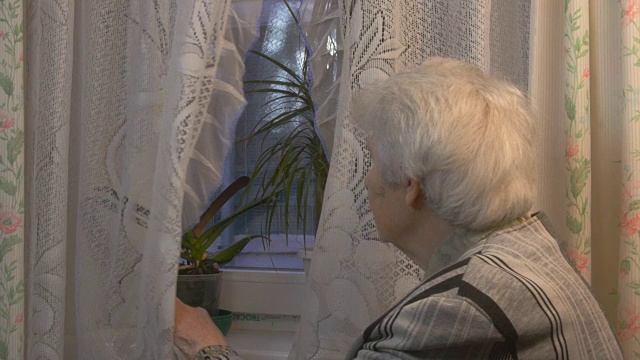 老妇人望着窗户视频下载