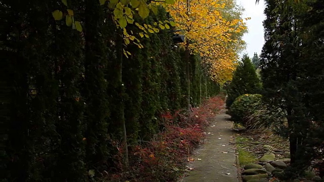 秋天的公园。视频下载