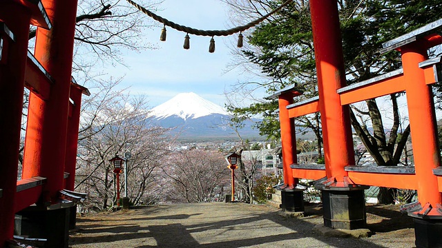 樱花盛开的富士山视频素材