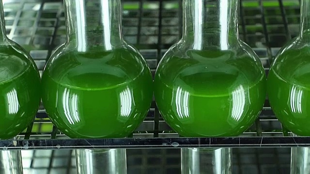 实验室玻璃器皿充满了绿藻垂直平移近距离视频下载