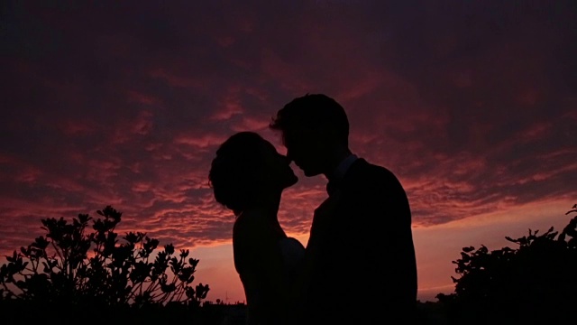 美丽的新婚夫妇在红色的日落上接吻的剪影视频下载