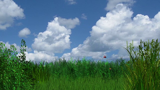 充满活力的夏季草地与飞舞的蝴蝶和云彩视频素材