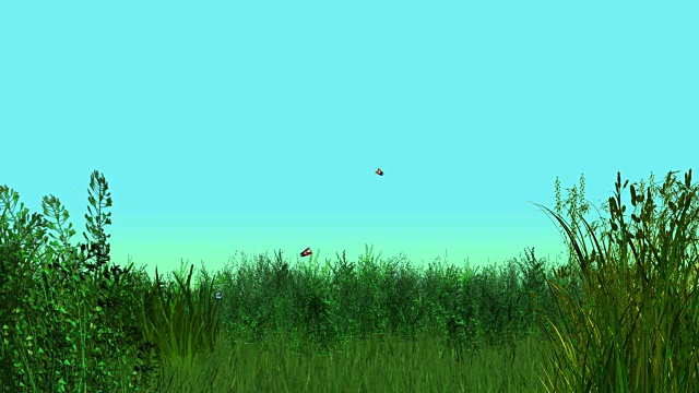 活泼的夏季草地与飞舞的蝴蝶视频素材