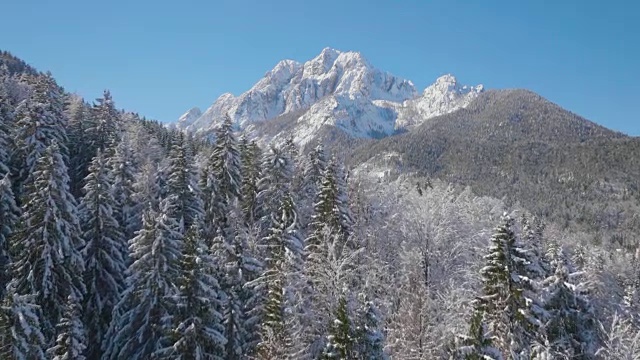 4K天线:冬山与云杉森林总计视频素材