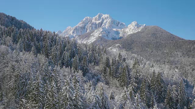 4K航拍:有云杉的冬山视频素材
