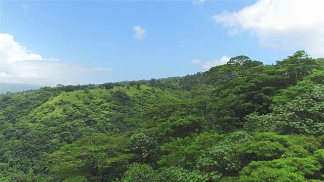 空中:在阳光明媚的夏天，在美丽的绿色丛林上空飞行，棕榈树和浓密的金合欢树生长在热带岛屿的大山上视频素材