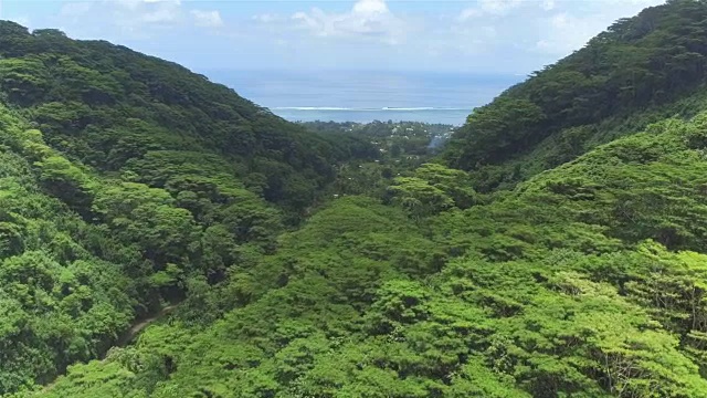 空中:飞过热带岛屿上巨大的火山上茂密的棕榈树和金合欢树丛林，朝向蓝色的海洋珊瑚礁视频素材