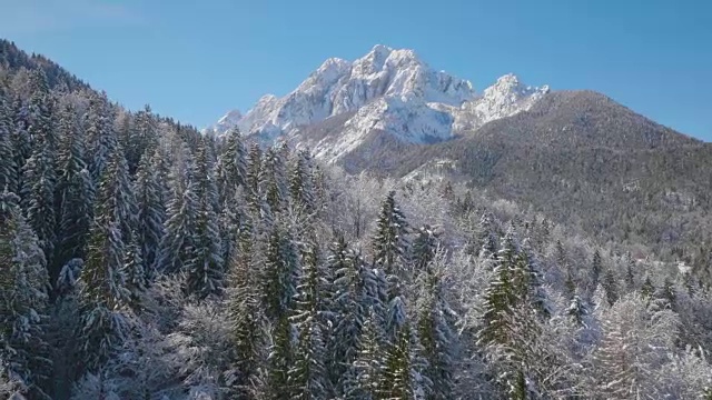 4K天线:在一个晴朗的日子里有云杉森林的冬季山视频素材