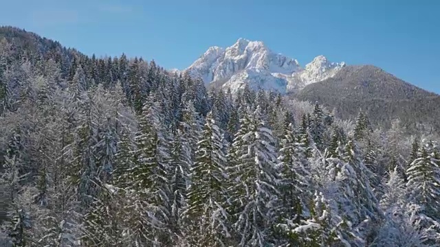 4K天线:晴天里有云杉森林的冬季山视频素材