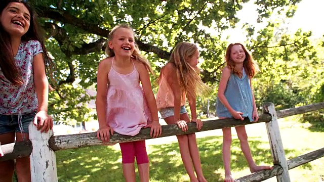 小女孩们站在树下粗糙的木篱笆上视频素材