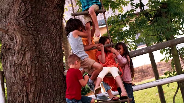 一群孩子在树上的绳梯上视频素材