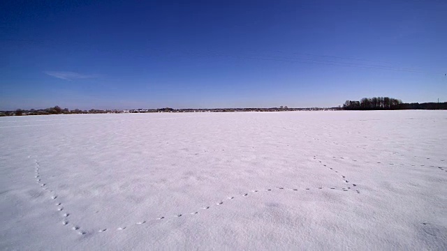 一大片覆盖着厚厚的积雪的平原视频素材
