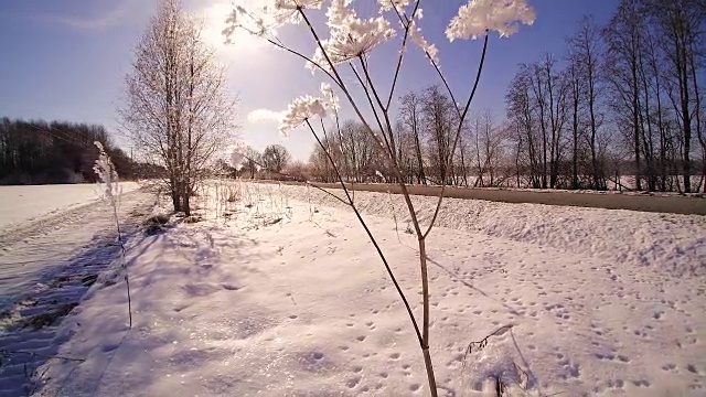 冬天早晨的雪很冷视频素材